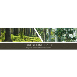 Forest Pine Trees 3-Docht-Kerze 411g