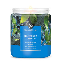 Blueberry Limeade 1-Docht-Kerze 198g