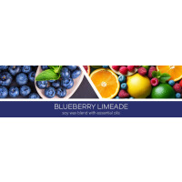 Blueberry Limeade Waxmelt 59g