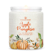 Apple Pumpkin 1-Wick-Candle 198g