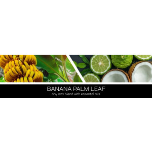 Banana Palm Leaf 3-Docht-Kerze 411g