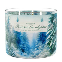 Frosted Eucalyptus 3-Wick-Candle 411g