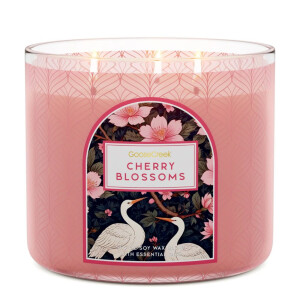 Cherry Blossoms 3-Docht-Kerze 411g