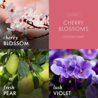 Cherry Blossoms 3-Docht-Kerze 411g