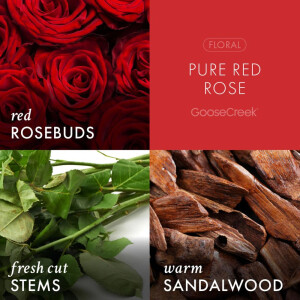 Pure Red Rose 3-Docht-Kerze 411g